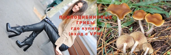 гидропоника Абинск