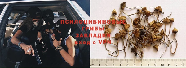 гидропоника Абинск