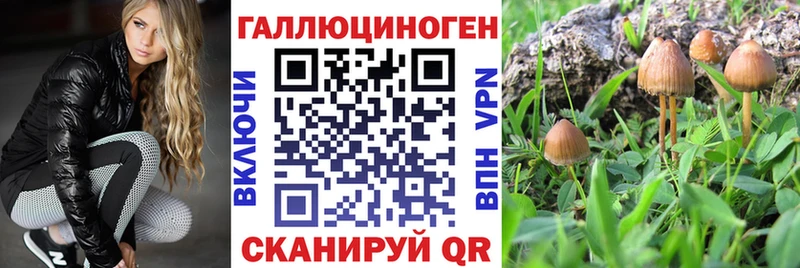 Псилоцибиновые грибы Magic Shrooms МЕГА онион Ростов-на-Дону